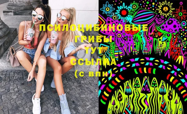 гидра Балахна