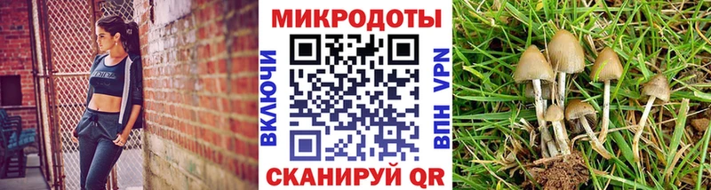 где можно купить   Давлеканово  Псилоцибиновые грибы Magic Shrooms 